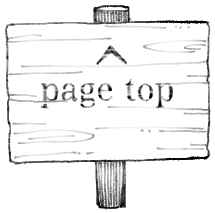 ページトップ