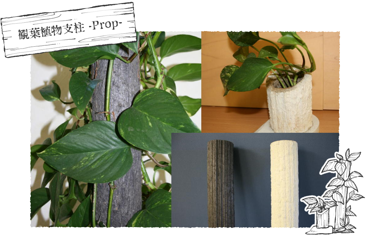 観葉植物支柱